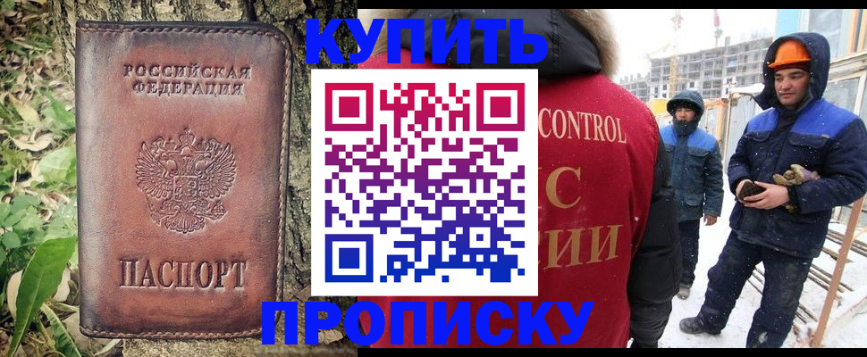 где прописаться в Ермолино